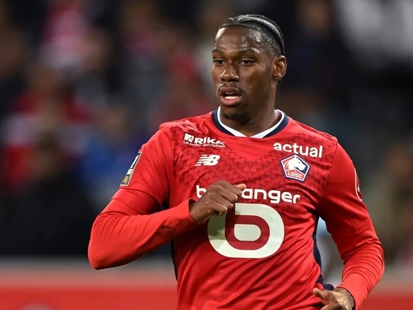 阵公牛的比 阵公牛的比