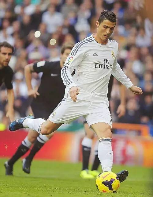 他可能带来 他可能带来