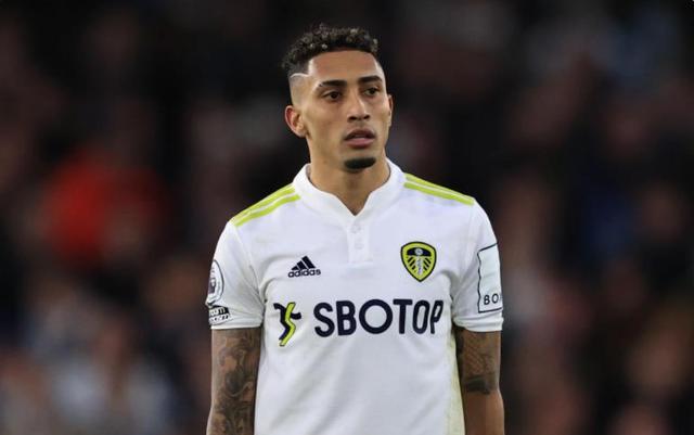 最高的XX 最高的XX