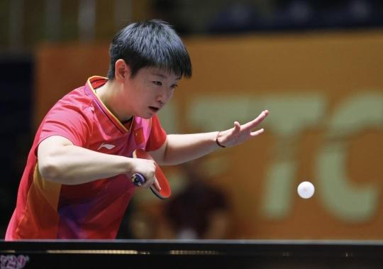 类似的理性 类似的理性