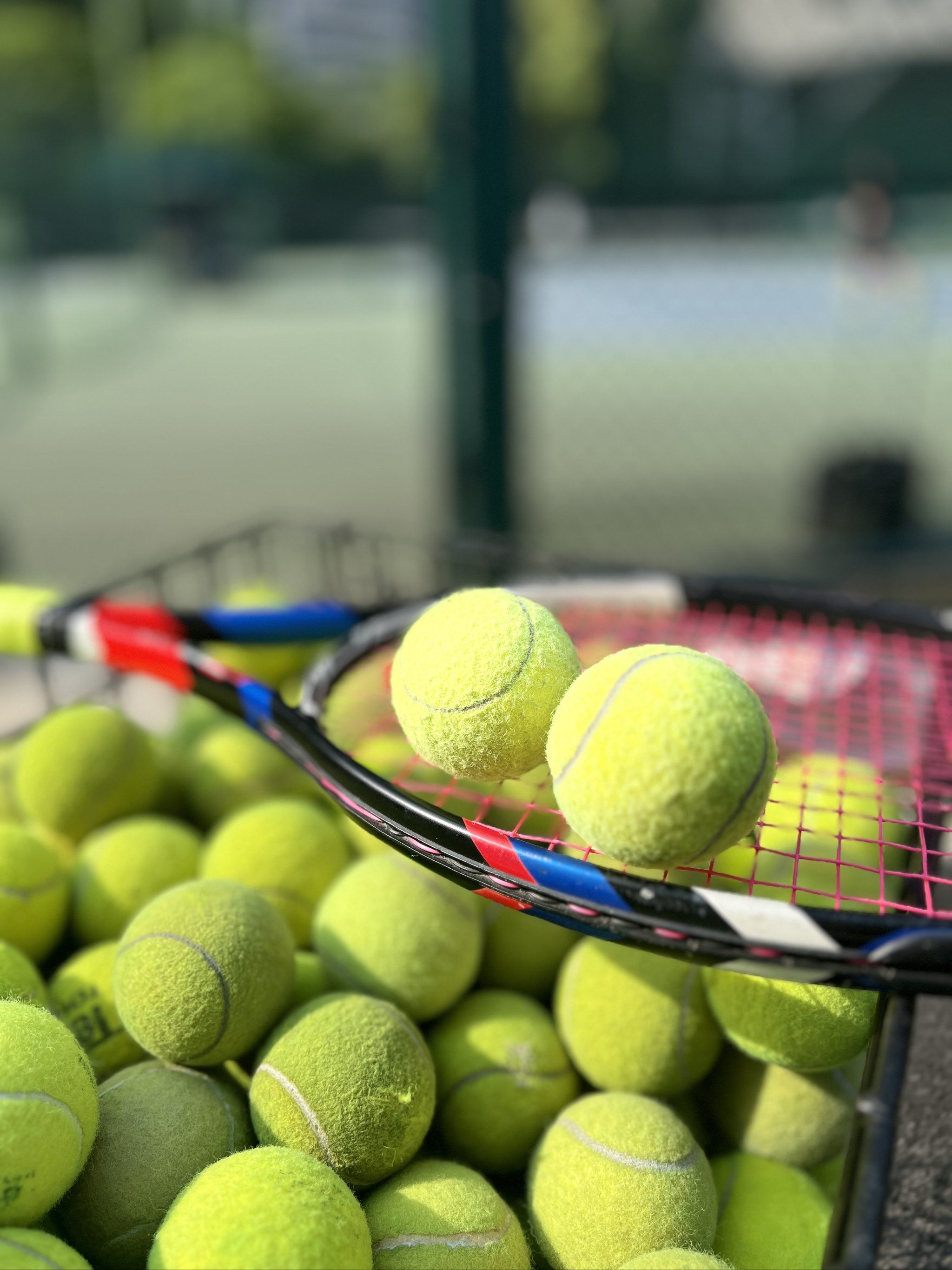 这种蜕变 这种蜕变